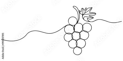 Minimalist continuous line drawing of grapes on the vine in black and white. Non editable stroke, Continuous one line drawing Grape, A simple, line art grape isolated on a white background vegan style
