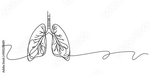 Stylized Lung Artwork, Continuous line lungs with artistic flair, symbolizing life and vitalit