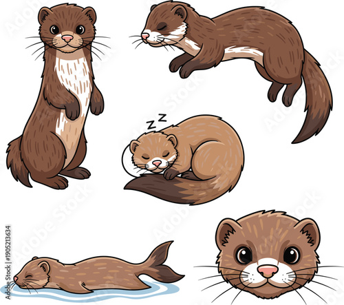 Vector illustrations of cute brown ferrets in various poses including standing sleeping jumping and swimming।