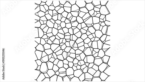 A minimalist, high-contrast, black-and-white line drawing of a Voronoi pattern or tessellation. The image features a seamless organic or cellular mesh of interconnected irregular polygonal shapes