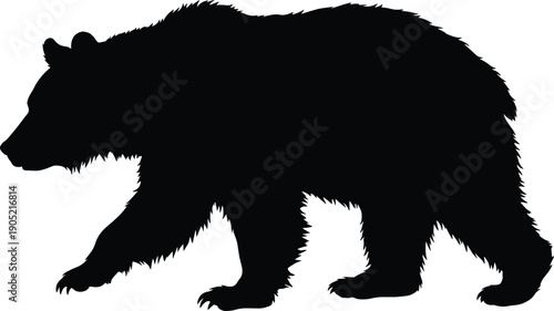 Walking bear silhouette side view wild animal black shape isolated on white background nature wildlife illustration
