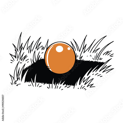 Orange ball in a hole in the ground grass