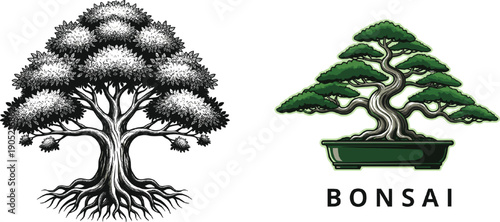 Detailed illustration set featuring a large rooted banyan tree with dense foliage and a Japanese bonsai tree in a pot isolated on grey background