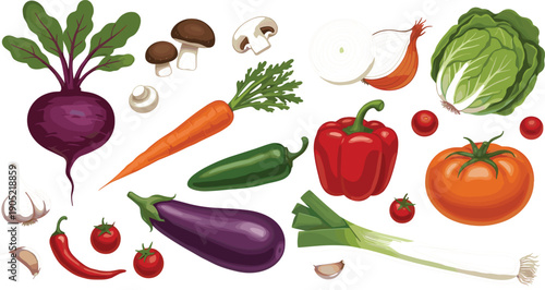 Fresh garden vegetable illustration set featuring beetroot carrots mushrooms eggplant bell peppers tomatoes leeks and garlic isolated on grey background