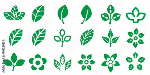 Collection of various green leaf shapes and floral designs in vector style