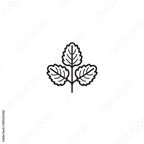 Lemon Balm icon line art medicinal herb 