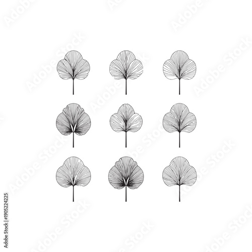 Linden Tree Flower icon line art nature illustration 
