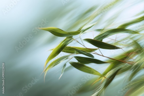 Moss Spiral Pattern – Organic Growth Nature Texture