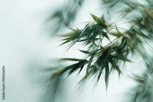 Bamboo Motion Blur – Zen Nature Abstract Background
