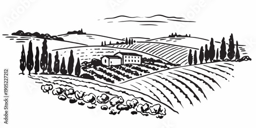 Rolling hills of a vineyard landscape with a farmhouse in the distance