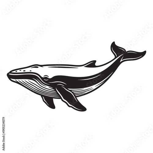 A majestic whale glides through the ocean depths, rendered in a striking monochrome illustration, exuding power and grace.