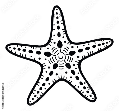 Decorative starfish drawing for various oceanic themes and aquatic projects perfect for educational materials, apparel printing, or children’s book imagery