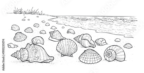 Collection of various seashells scattered on a sandy shore by the ocean with gentle waves and beach grass, ideal for summer vacation themed coloring pages or marine life studies.
