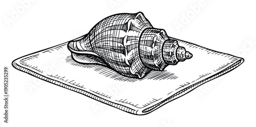 Hand drawn natural sea shell conch resting on a square dish showcasing intricate ocean life details for coastal themed decor projects or beach inspired graphic assets