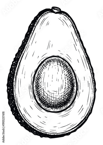 Stylized black and white drawing of an avocado half with its central seed depicted in an expressive sketch ideal for culinary themed publications and organic produce branding materials