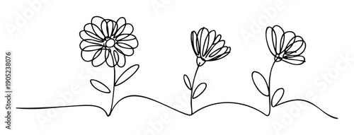 Simple line drawing of three abstract flowers showing interconnected growth and natural beauty, ideal for modern decorative prints, minimalist wall decor, or botanical themed graphic