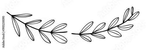 Simple line drawing of botanical sprigs with delicate leaves, perfect for adding a touch of natural elegance to branding, greeting cards, or decor projects.