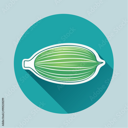 Vibrant Cardamom Pod Illustration on Teal Background for Culinary Design