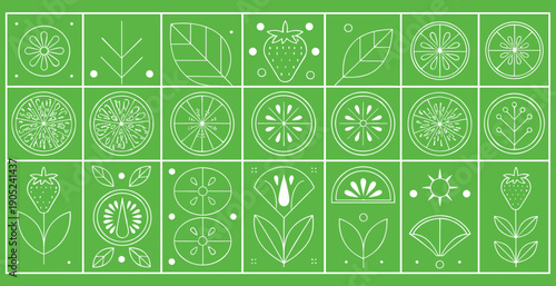 Geometric fruit and botanical icon grid with citrus strawberry leaves flowers minimal line vector illustration set