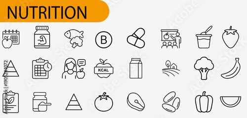 Nutritional Icons: An array of simple, modern icons representing the building blocks of a balanced diet, essential vitamins, and fresh produce. 
