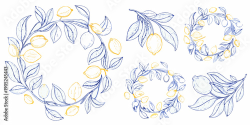 Delicate hand drawn lemon and leaf wreaths in a sketched botanical style
