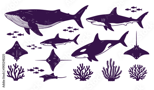 Underwater Life Illustrations: Whales, Sharks, and Marine Flora in Purple