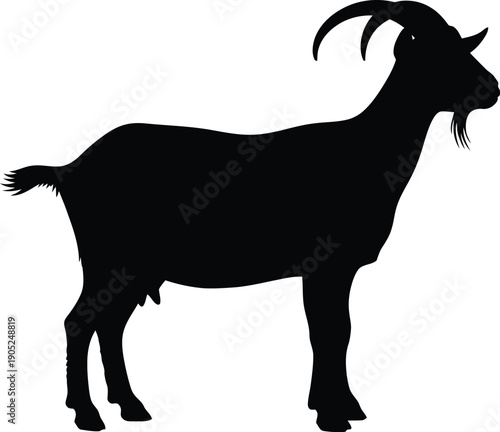 Vector illustration of a goat standing on a farm landscape viewed from the side