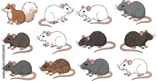 Realistic Mouse and Rat Set in Different Colors and Poses Detailed Rodent Animal Vector Illustration Collection