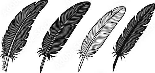 set of black and white feather illustrations, various detailed ink feather designs