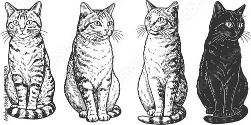 set of four hand drawn cats sitting in different poses with detailed fur patterns