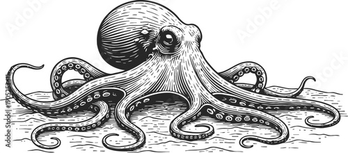 Vintage octopus illustration with detailed tentacles and textured body, marine sea creature drawing