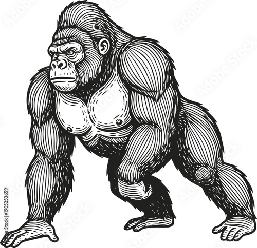 Powerful gorilla standing on four limbs, muscular wild ape illustration, jungle animal strength concept