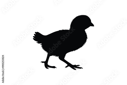Small chick silhouette on white background, representing agriculture, poultry, farming and easter