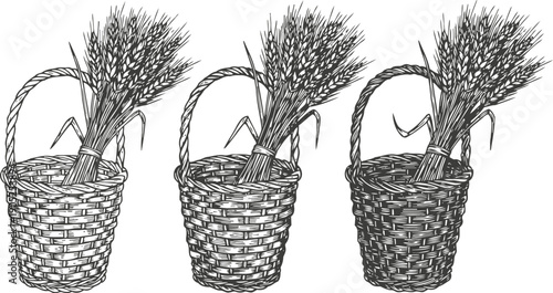 Three woven baskets with wheat sheaves, rustic harvest symbols, hand drawn farm produce illustration