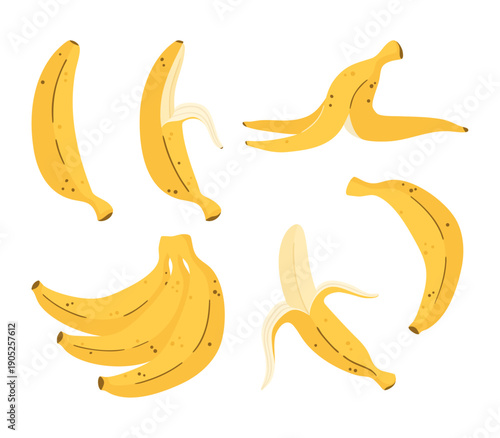 Set of yellow bananas vector illustration. Collection of whole, peeled, and bunch of bananas with banana peel isolated on white. Tropical fruit elements for healthy eating and diet design.