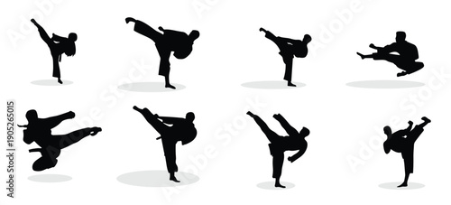 vector illustration of karate martial arts silhouette