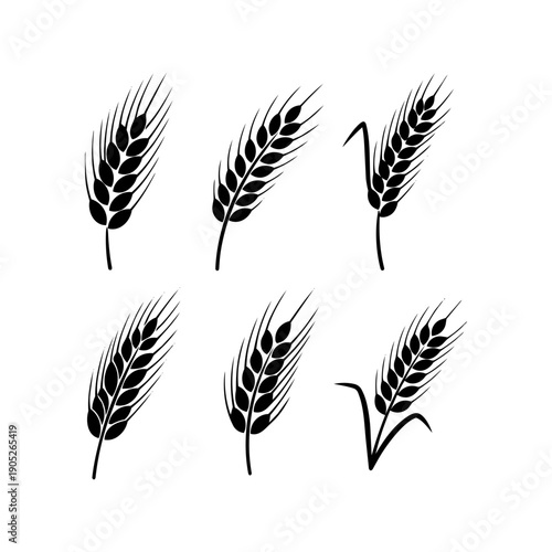 Collection of Six Black and White Wheat Stalk Illustrations, representing harvest, agriculture, and organic food concepts