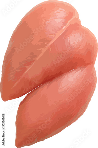 Raw Chicken Breast Fillets On White Background meat