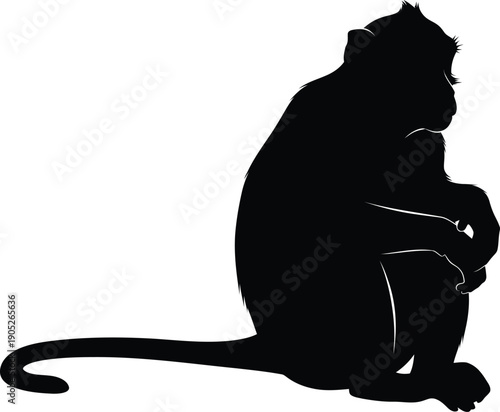 Monkey sitting alone in contemplation vector illustration silhouette