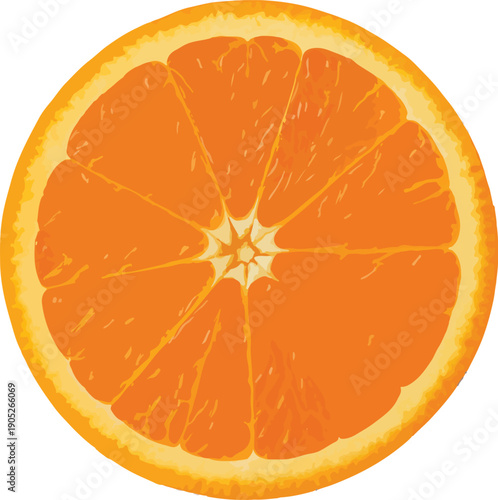 Slice Of Orange Fruit With Segments On White Background