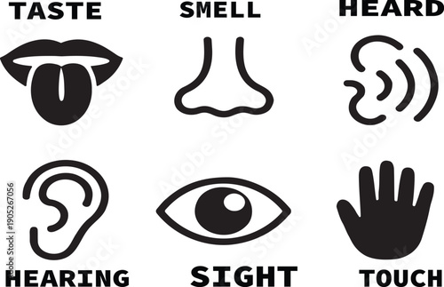 Set of six human senses icons: taste, smell, hearing, sight, touch, and sound.