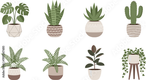 Indoor Houseplants Vector Set, Potted Monstera, Snake Plant and Cactus Collection, Modern Home Garden Greenery Isolated on Transparent Background