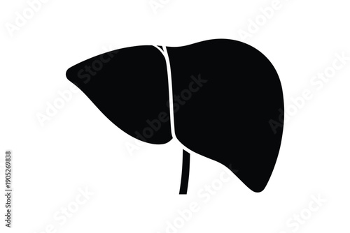 Liver organ icon, human internal anatomy, healthcare symbol, medical illustration, health awareness