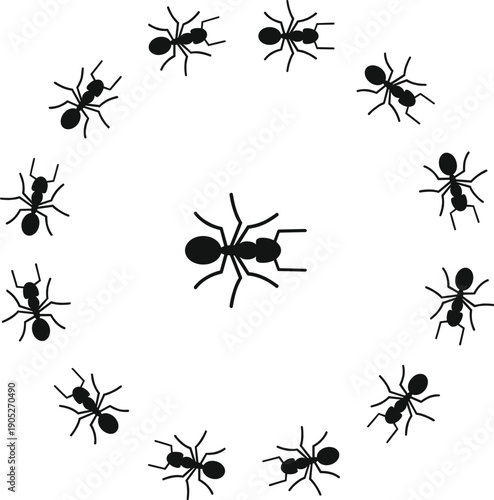 Black ant silhouettes arranging in a round pattern on white background