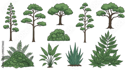 Various green trees and plants collection including ferns, shrubs, and pines for landscaping and outdoor environment illustrations on white.