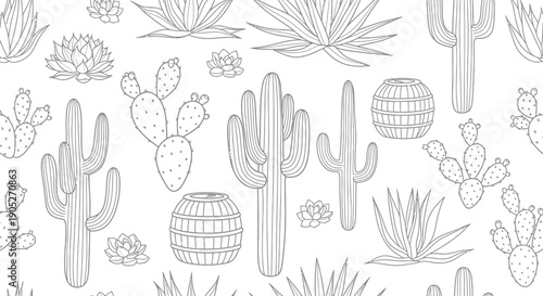 Cacti and succulents line art desert plants cactus succulent illustration vector