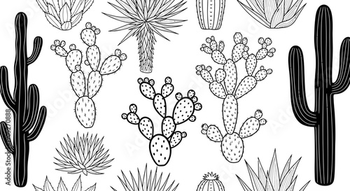 Cactus desert plants on white background succulents illustration vector prickly pear