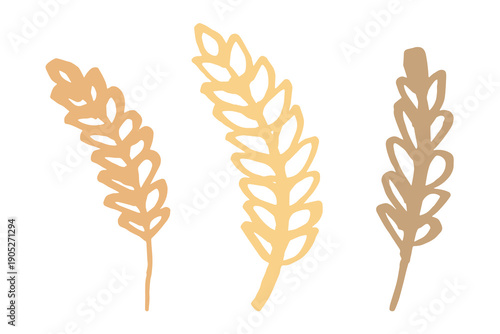 Set of hand drawn cereal wheat oat rye barley rice ears spikelet clipart Organic wheat bread agriculture farming harvest healthy food Single element for design print packaging label decor