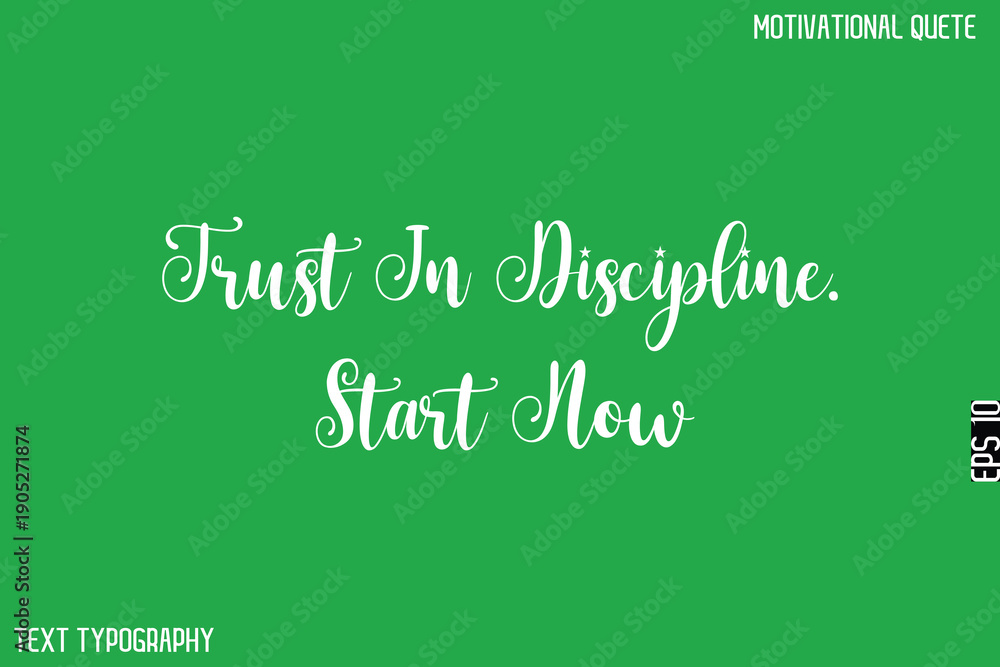 Fototapeta premium Trust In Discipline. Start Now -Motivational Quote Artistic Text Cursive Hand Lettering Design