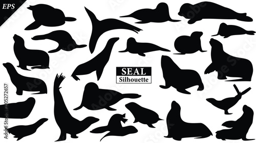 Set of Seal animal Silhouette illustration Isolated on white background, featuring a clean and minimal black shape representing marine wildlife and coastal life. Ideal for logos, icons, Seal vector
